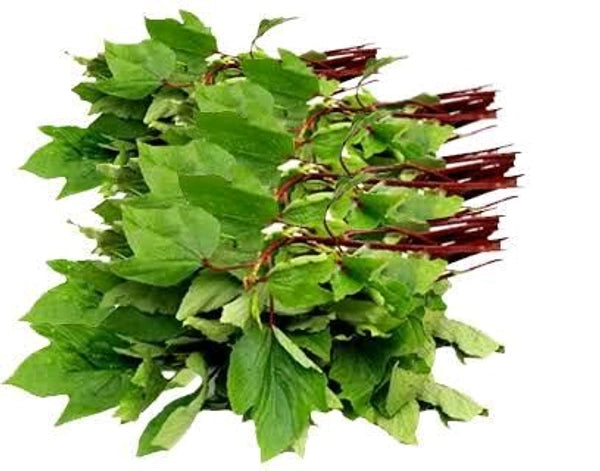 Gongura